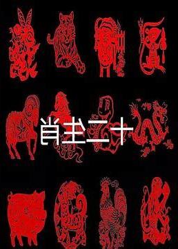 生肖 1995